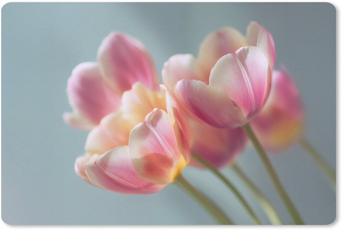 Muismat 27x18 cm - Mousepad Tulpen - Roze - Stelen - Muismatten