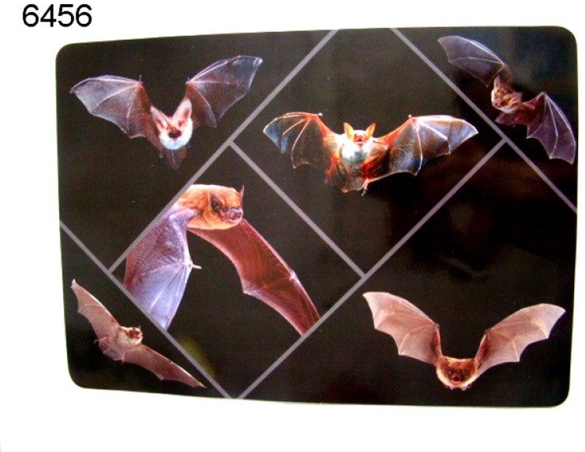 Geharo Placemat vleermuizen - 41 x 29 cm - 2-zijdig - gelamineerd