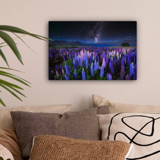Champ de fleurs avec des lupins violets et bleus la nuit au lac Tekapo en Nouvelle-Zélande 30x20 cm - petit - Tirage photo sur toile (Décoration murale salon / chambre) / Peintures Fleurs sur toile