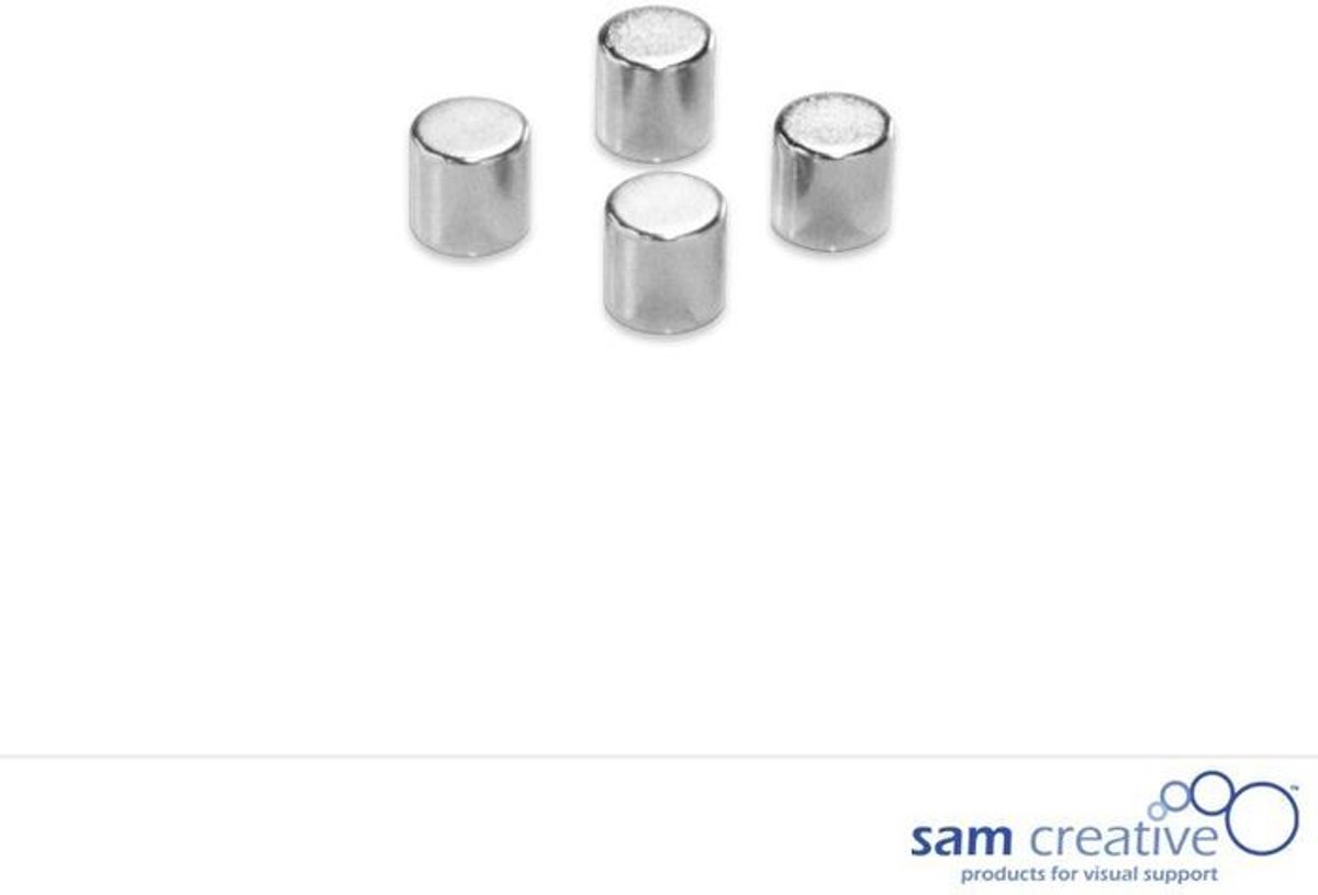 RVS cylinder magneten set 4 stuks