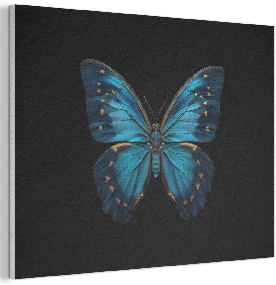Akoestisch wandpaneel 80x60 cm - Vilt schilderij Vlinder - Blauw - Contrast - Akoestische panelen - Geluidsdempende wanddecoratie - Geluidsisolatie woonkamer - Muurdecoratie geluidspanelen