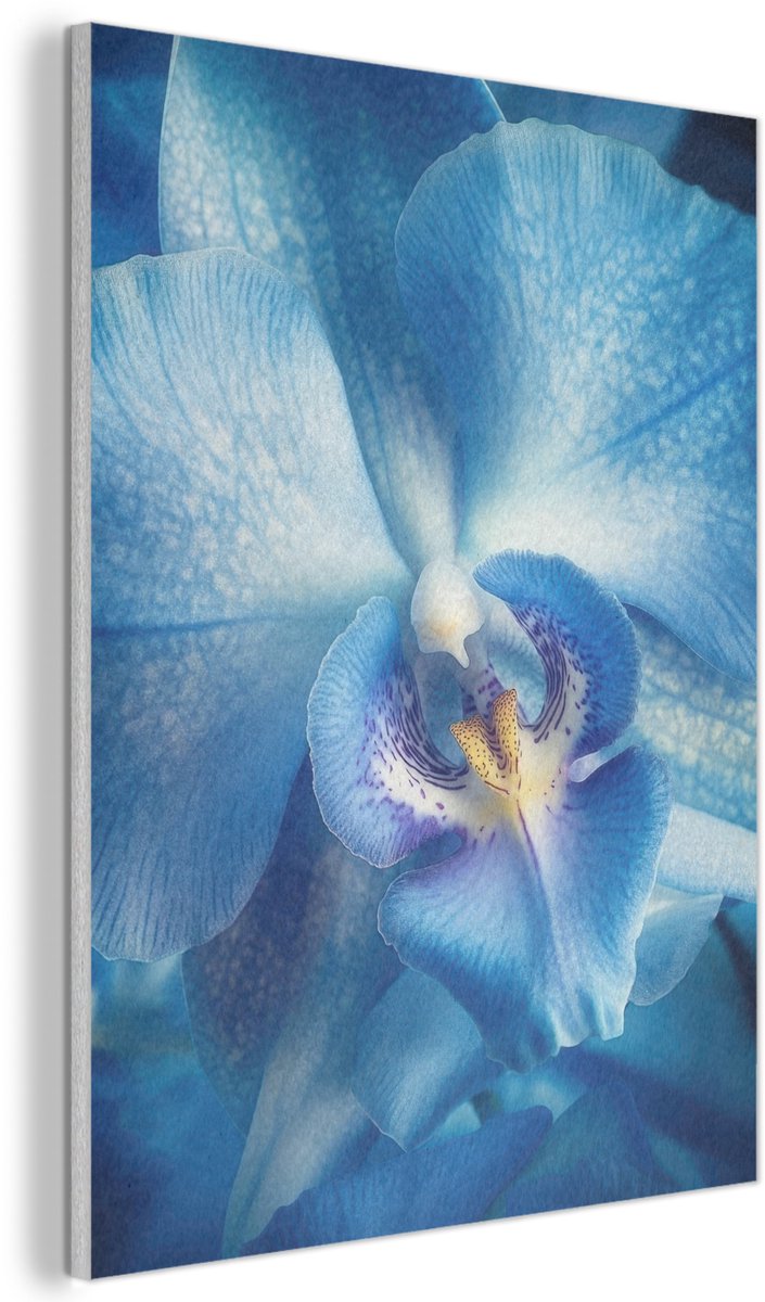 Akoestisch wandpaneel 70x100 cm - Vilt schilderij Blauw - Orchidee - Elegeant - Akoestische panelen - Geluidsdempende wanddecoratie - Geluidsisolatie woonkamer - Muurdecoratie geluidspanelen