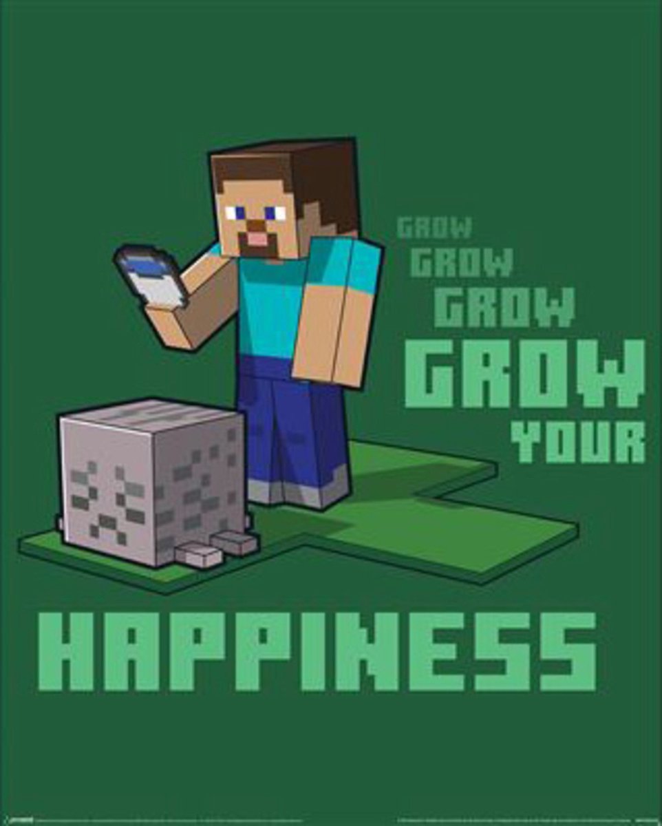 Pyramid Poster Minecraft - Grow Your Happinenss 40x50cm Divers