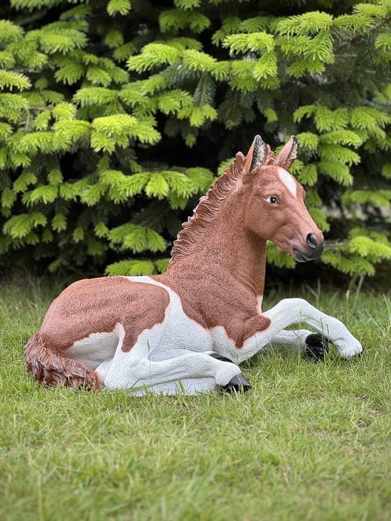 Foto: Veulen lig bruin en wit 42 cm hoog paard polyester polyresin polystone hoogkwalitatieve kunststof decoratiefiguur interieur accessoire voor binnen voor buiten cadeau geschenk tuinfiguur tuinbeeld