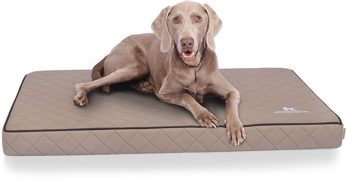 Knuffelwuff orthopedische hondenmat Juna van laser-gewatteerd kunstleer oversized XXXL 136x84cm grijs