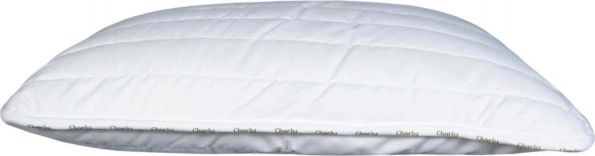 Polydaun Charly kinderhoofdkussen - anti-allergeen - Isocraft® vulling, gerecycled - 450 gram - 55x65 cm