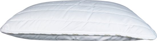 Polydaun Charly kinderhoofdkussen - anti-allergeen - Isocraft® vulling, gerecycled - 450 gram - 55x65 cm