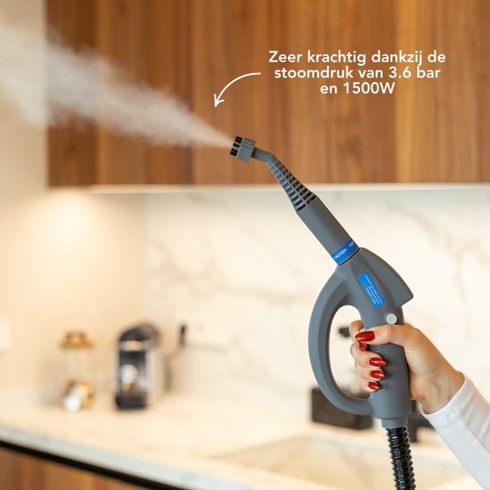Nettoyeur vapeur Techweise 16 en 1 - 45 minutes de vapeur - 4 bars - Nettoyeur de tapis - Machine de nettoyage - Nettoyant anti-taches