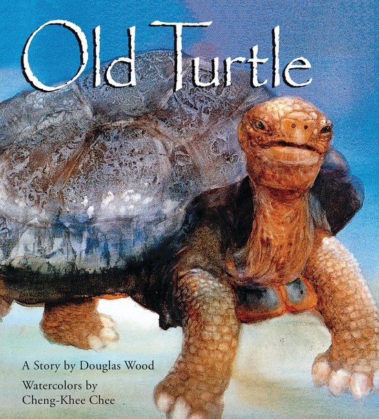 Old Turtle - cover