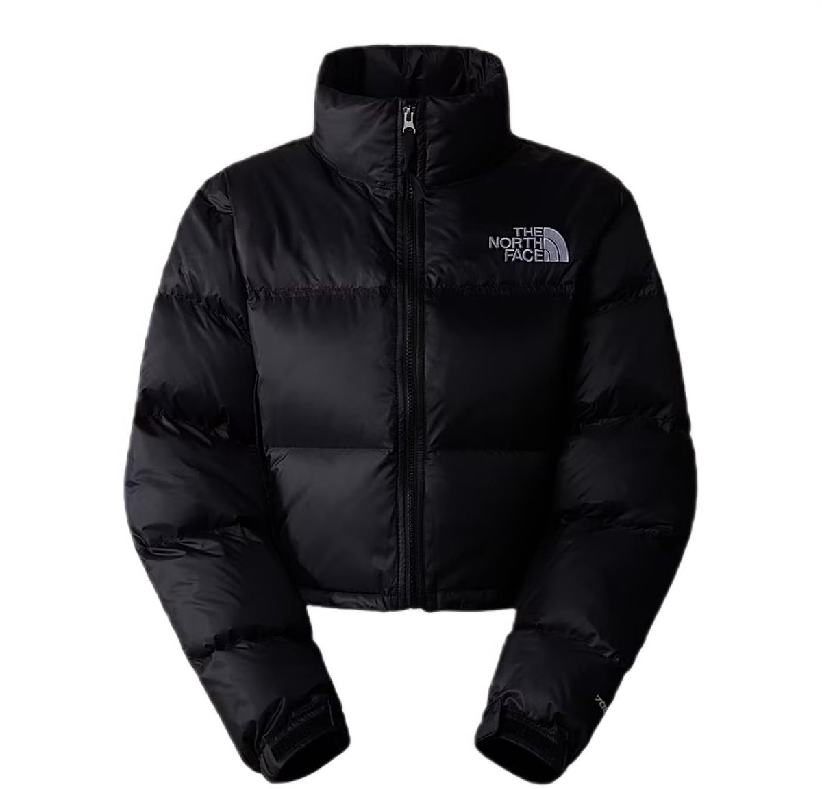 THE NORTH FACE Dames Boxy Winterjas 100% Gerecycled Nylon met 700-Fill Ganzendons Veelkleurig