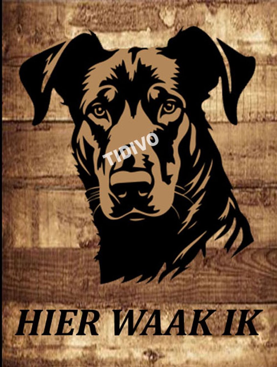 Beauceron 20