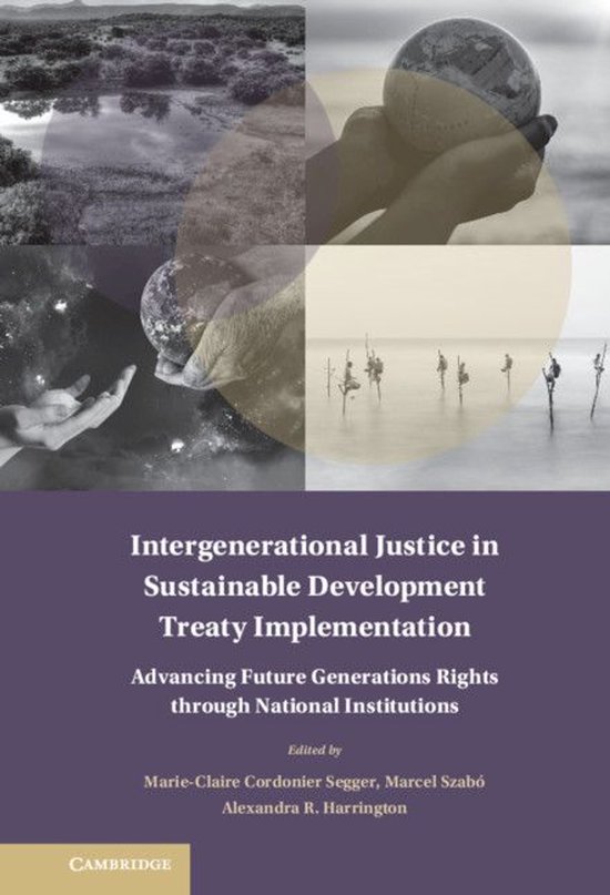 Treaty Implementation for Sustainable Development - Intergen ... - cover