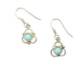 Zilveren oorbellen Larimar 925 zilver (incl. oorbel stoppers)