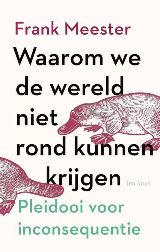 Waarom we de wereld niet rond kunnen krijgen - cover
