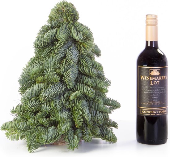 Nobilis Kerstboom - 30CM - Klein Kerstboompje - Handgemaakt - Vers Groen