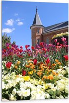 Dibond - Mooi Veld met Gekleurde Bloemen met een Mooi Kasteel op de Achtergrond - 80x120cm Foto op Aluminium (Met Ophangsysteem)