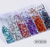 6 soorten Glitters Nagel Decoratie Set #2- 3D Nail Art voor Gellak, Acryl of Nagellak - Glitter, Poeder, Holografisch, Vlokken, Pailletten, Shimmer - verschillende kleuren