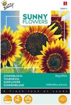 Buzzy® Sunny Flowers, Zonnebloem Ring of Fire
