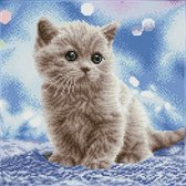 DQK8.020 Diamond Dotz® - Hobby Pakket - Diamond painting volwassenen - Diamond painting met lijst - Verbaasde kitten 34.5 x 34.5cm - Vierkante steentjes - Diamond painting pakket v