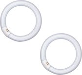 2 stuks Osram L 22W/827 C Lumilux Interna