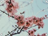 Cherrie blossom tuinposter los doek 120x80 cm - Tuindoek / Schilderij voor buiten / Tuindecoratie
