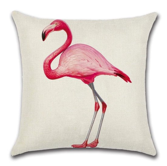 Spreekwoord paling lint Kussenhoes Flamingo - Adonis - Kussenhoes - 45x45 cm - Sierkussen -  Polyester | bol.com
