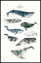 JUNIQE - Poster in kunststof lijst Walvissen illustratie -20x30 /Blauw