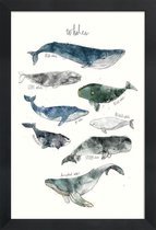 JUNIQE - Poster met houten lijst Walvissen illustratie -30x45 /Blauw &