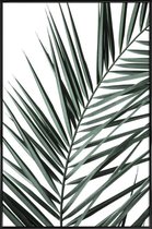 JUNIQE - Poster met kunststof lijst Phoenix -13x18 /Groen & Wit