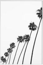 JUNIQE - Poster met kunststof lijst Cali Palms -13x18 /Grijs & Wit