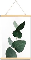 JUNIQE - Posterhanger Eucalyptus 4 -60x90 /Groen