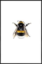 JUNIQE - Poster in kunststof lijst Bumblebee -40x60 /Geel & Wit
