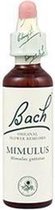 Bach Flores De Bach (06) Cherry Plum 20 Ml