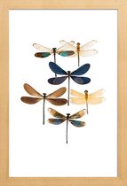 JUNIQE - Poster in houten lijst Libellen -60x90 /Blauw & Bruin