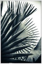JUNIQE - Poster in kunststof lijst Palm Shade 2 -40x60 /Grijs & Groen