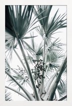 JUNIQE - Poster in houten lijst Beach Palm Fruits -30x45 /Grijs &