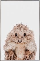 JUNIQE - Poster met kunststof lijst Hedgehog -60x90 /Bruin