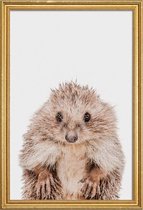 JUNIQE - Poster in houten lijst Hedgehog -20x30 /Bruin