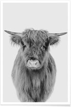 JUNIQE - Poster Young Highland Cow Classic -60x90 /Wit & Zwart