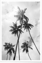 JUNIQE - Poster Palme Bounty -20x30 /Grijs & Wit