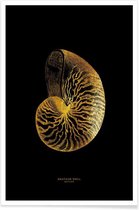 JUNIQE - Poster Nautilus Shell gouden -30x45 /Goud & Zwart