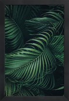 JUNIQE - Poster in houten lijst Gevederde Palm -60x90 /Groen
