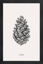 JUNIQE - Poster in houten lijst Pinecone -20x30 /Grijs & Ivoor