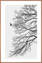 JUNIQE - Poster met kunststof lijst Winter Bird -20x30 /Grijs & Wit
