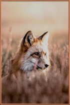 JUNIQE - Poster met kunststof lijst Fox in Reeds -13x18 /Bruin &