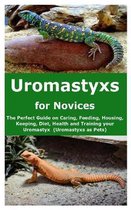 Uromastyxs for Novices