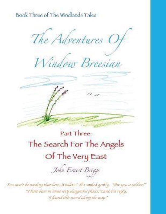 Boek cover The Adventures Of Window Breesian Part Three van John Ernest Briggs (Paperback)