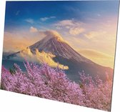 Top Media Groep - Schilderij - Mount Fuji Japan Geborsteld - Multicolor - 100 X 150 Cm