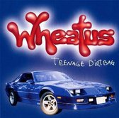Wheatus teenage dirtbag cd-single