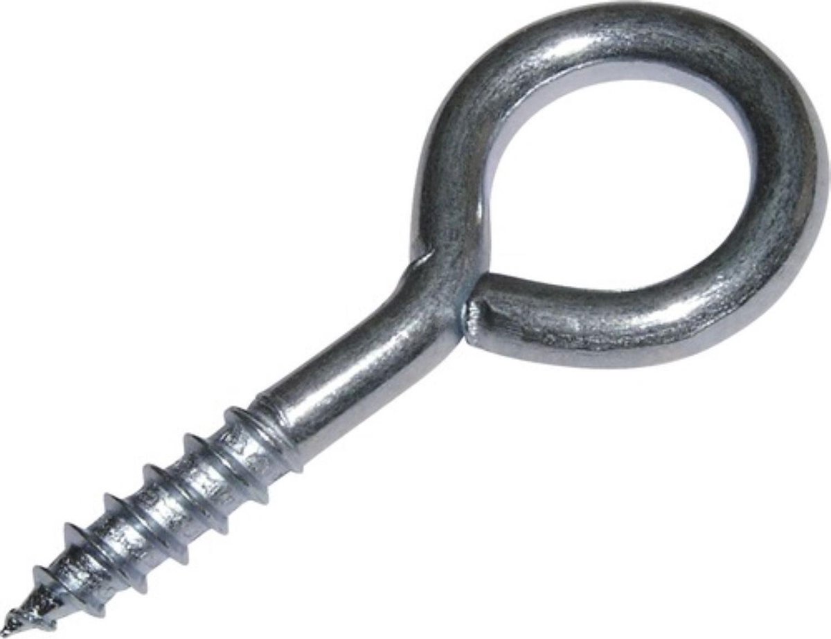 Schroefoog RVS 4.0 x 30 mm (6 stuks)